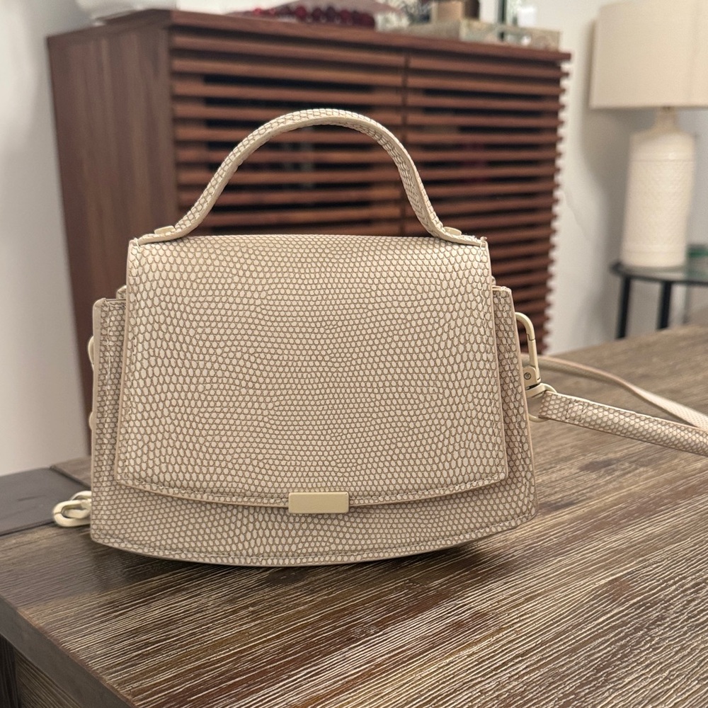 Zara mini purse